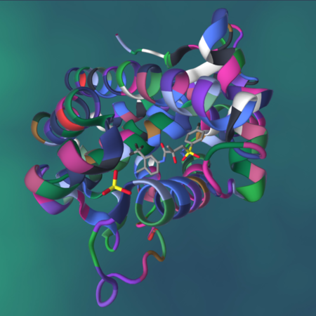 ../_images/wikipedia_ligand_bind.png